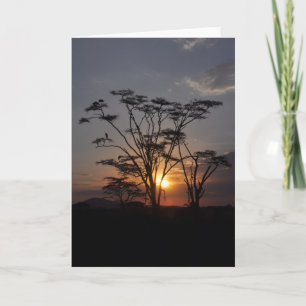 Serengeti Sunset Karte