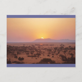 Serengeti Sunset Postkarte