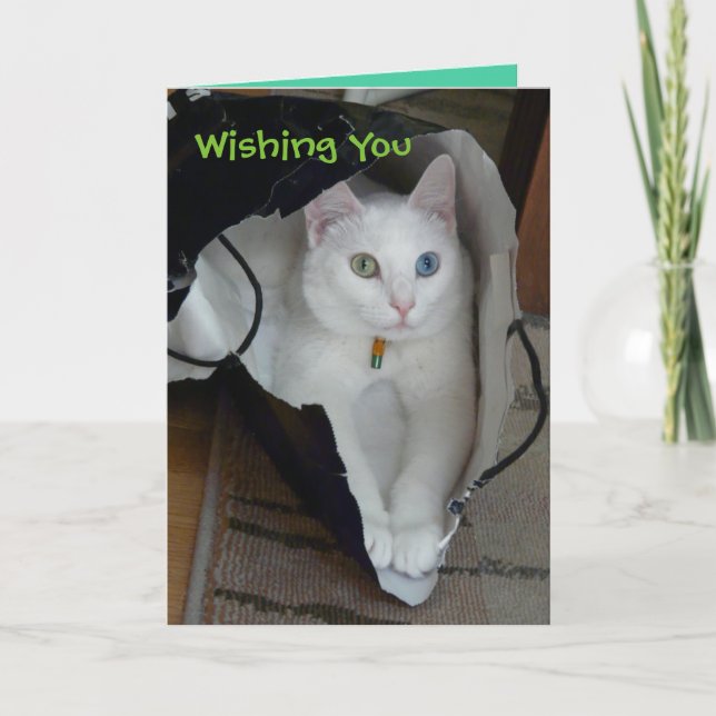 Serenity Bagged Holiday card Feiertagskarte (Vorderseite)