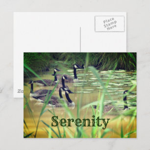 Serenity Canada Gese Inspiration Postkarte
