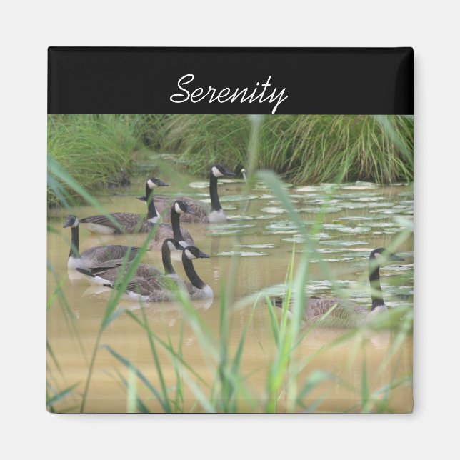 Serenity Canada Gese Inspirational Nature Magnet (Vorne)