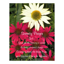 Serenity Gebet Coneflowers Blumenfotografie