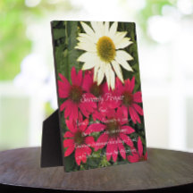 Serenity Gebet Coneflowers