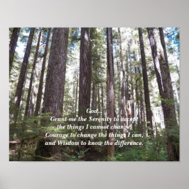 Serenity Gebet Sunlit Forest Fotografy Poster