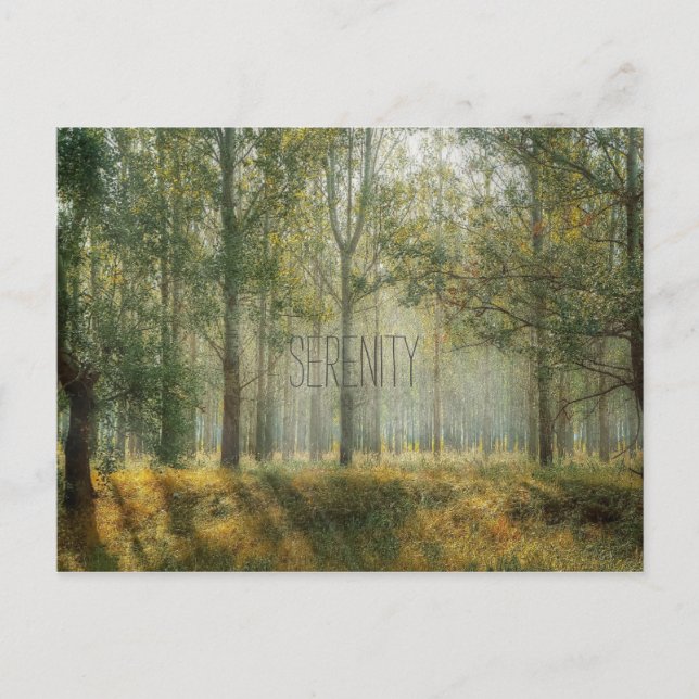 Serenity Nature Postcard Postkarte (Vorderseite)
