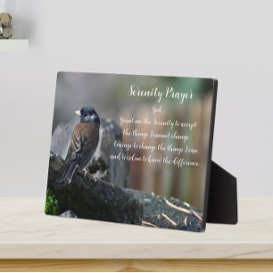 Serenity Prayer Bird auf Branch Foto Fotoplatte