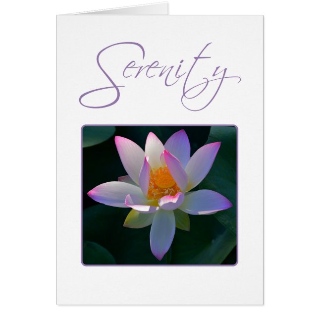 Serenity Prayer Pink Lotus Blume (Vorne)