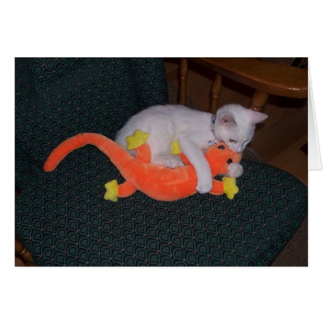 Serenity Tackles Lizard-Karte (Vorderseite (Horizontal))