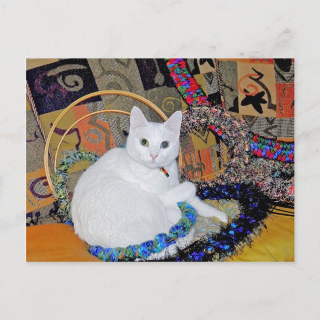 Serenity umkreist Postkarte (Vorderseite)