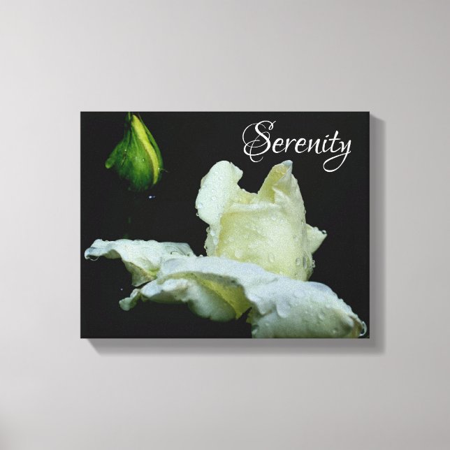 Serenity White Rosenknospe Inspirational Words Leinwanddruck (Vorderseite)