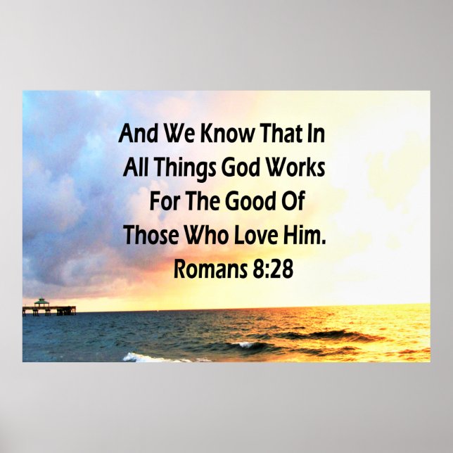 SERENROMANS 8:28 SCRIPTURE VERSE POSTER (Vorne)