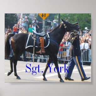 Sergeant York das Riderless Pferd Poster