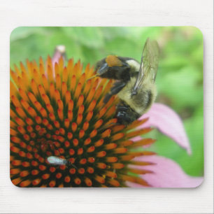 Serie der Ost-Carpenter-Bienen und -Konflower Mousepad