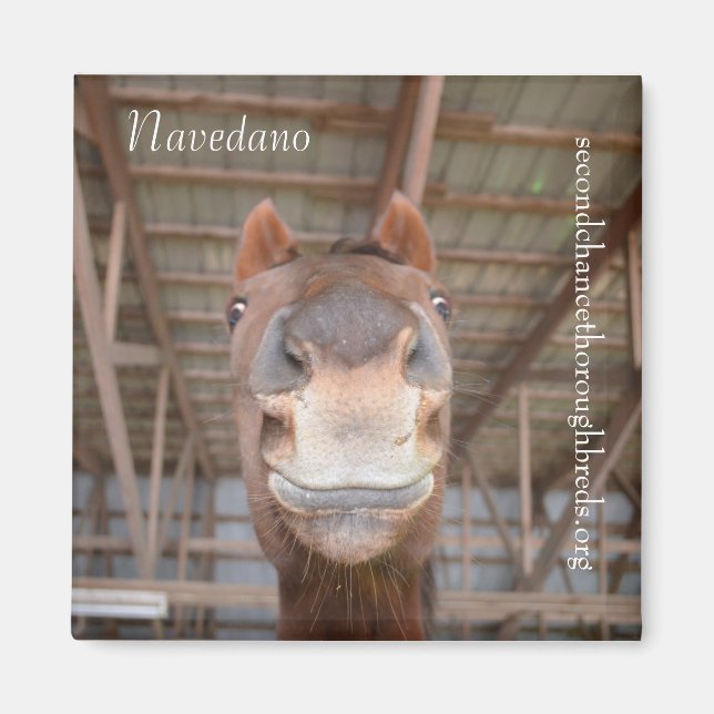 Serie für Sammelhefte - Navedano Magnet (Vorne)