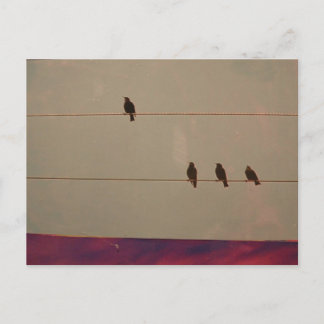 Serienpostkarte Postkarte