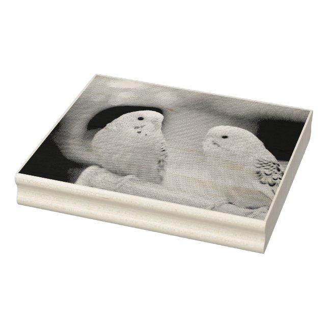 Seriöse Keets Gummistempel (Stempel)