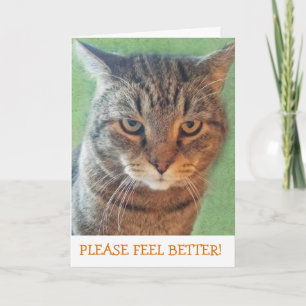Seriöse Kitty Get Well Card Karte