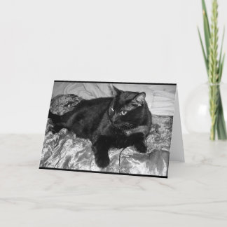 Seriöse schwarze Katze Karte