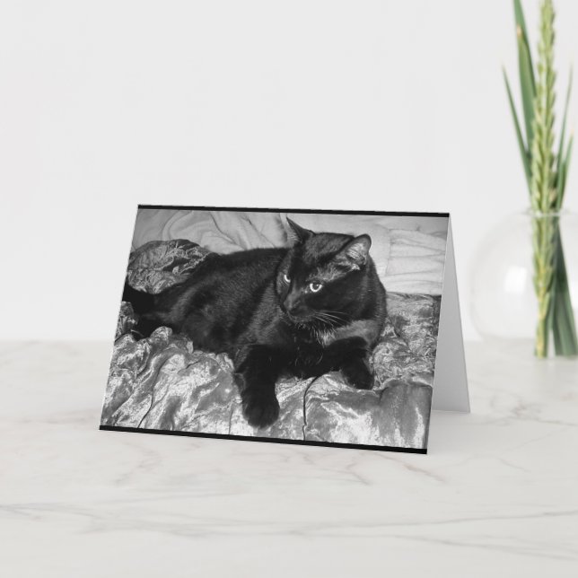 Seriöse schwarze Katze Karte (Vorderseite)