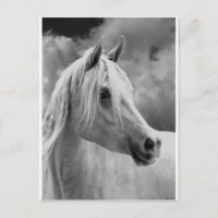 Serne-Zusammensetzung