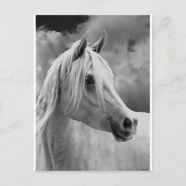 Serne-Zusammensetzung Postkarte (Vorderseite)