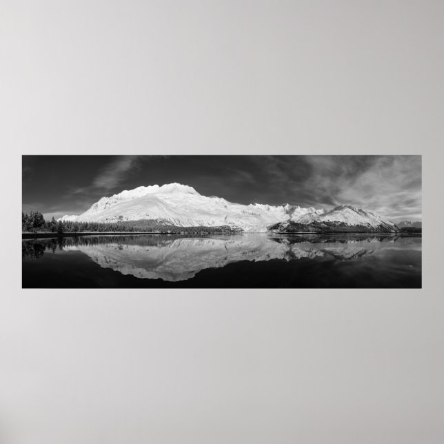 Serpentine Cove Black and White Poster (Vorne)