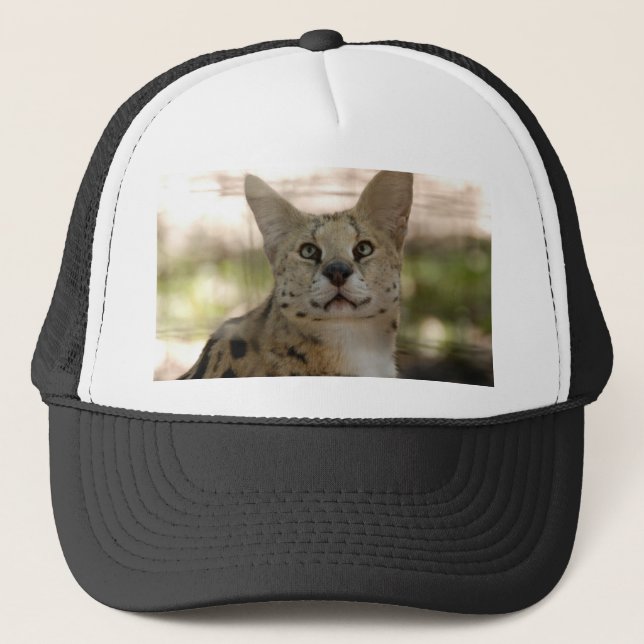 Serval 017 truckerkappe (Vorderseite)