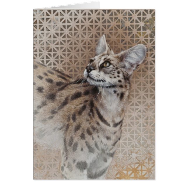 Serval Blank Card von Andrew Denman (Vorne)