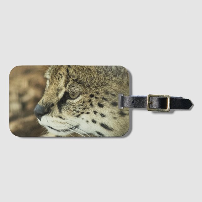 Serval Gepäckanhänger (Vorderseite (Horizontal))