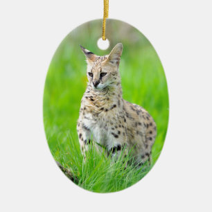 Serval in the grass keramik ornament