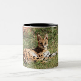 Serval-Katzen-Tasse Zweifarbige Tasse