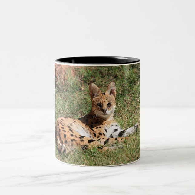 Serval-Katzen-Tasse Zweifarbige Tasse (Mittel)