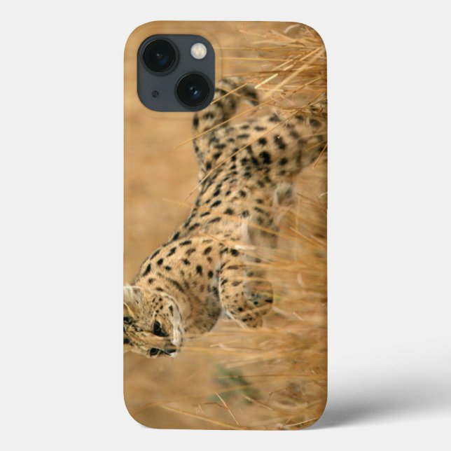 Serval (Leptailurus Serval) beim Springen Case-Mate iPhone Hülle (Rückseite)