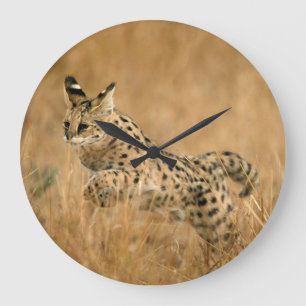 Serval (Leptailurus Serval) springend Große Wanduhr
