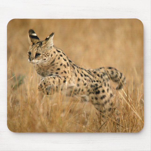 Serval (Leptailurus Serval) springend Mousepad (Vorne)