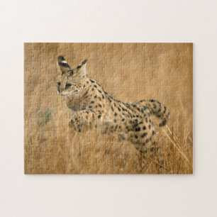 Serval (Leptailurus Serval) springend Puzzle