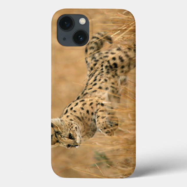 Serval (Leptailurus Serval) springt Case-Mate iPhone Hülle (Rückseite)