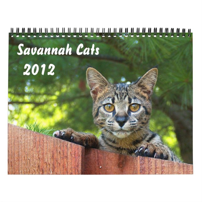 Serval Savannah Cat Calendar Kalender (Titelbild)