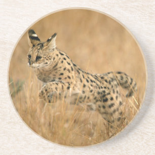 Serval Untersetzer