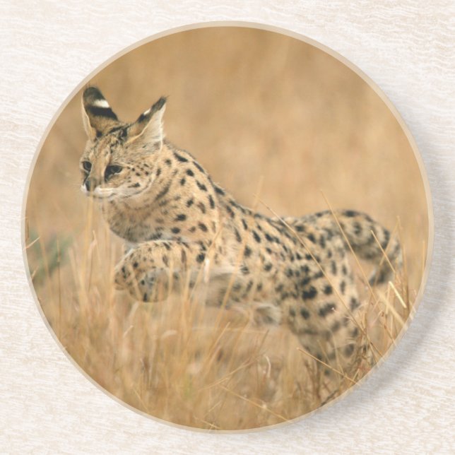 Serval Untersetzer (Vorne)