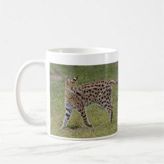 Serval-wilde afrikanische Katze Kaffeetasse