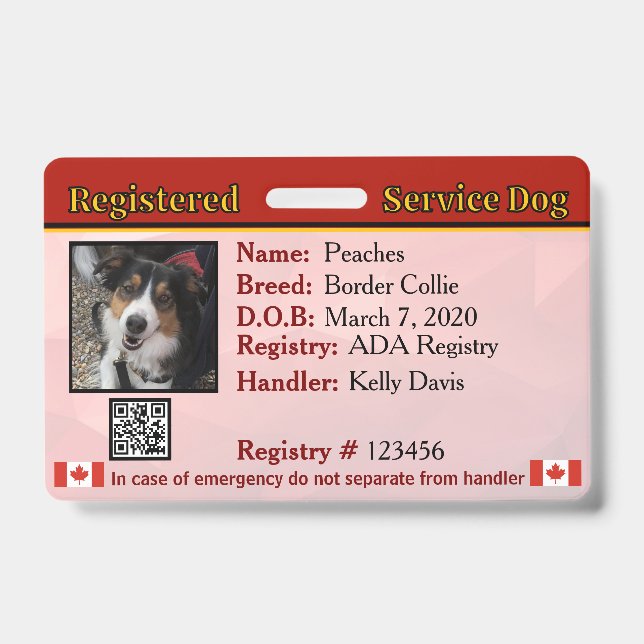 Service Dog Canada Abzeichen Ausweis (Vorderseite)