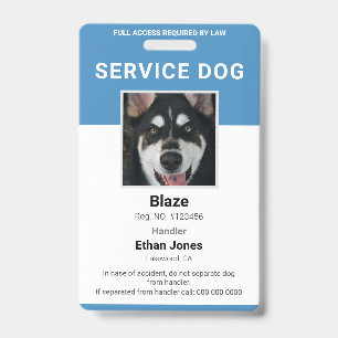 Service Dog Foto Blue Abzeichen Ausweis