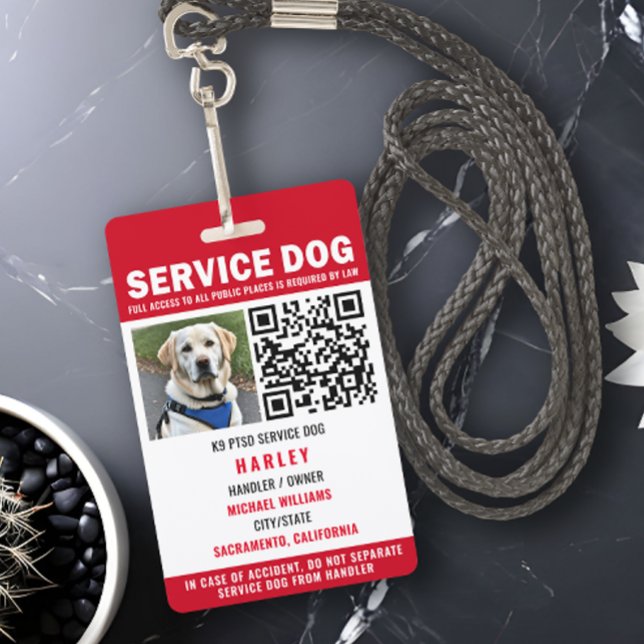 Service Dog Moderner QR Code rot & weiß Ausweis (Von Creator hochgeladen)