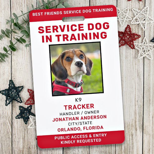 Service-Hund in Training-ID-Karte Personalisiertes Ausweis (Von Creator hochgeladen)