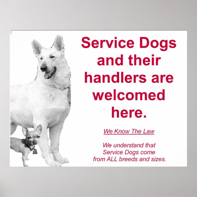 Service-Hunde sind willkommen Poster (Vorne)