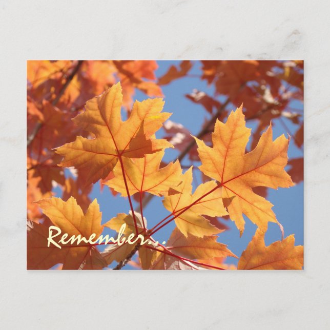 Service-Postkarten Erinnerungen Jährliche Servicez Postkarte (Vorderseite)