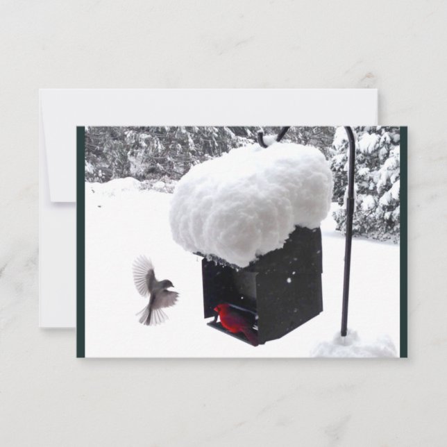 Serviceman, Postman, UPS, FedEx, Tip-Card Einladung (Vorderseite)