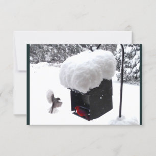 Serviceman, Postman, UPS, FedEx, Tip-Card Einladung