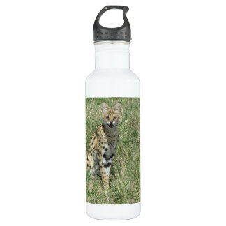 Servkatze Wasserflasche aus nicht rostendem Stahl Edelstahlflasche